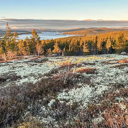 Lovely In With View *