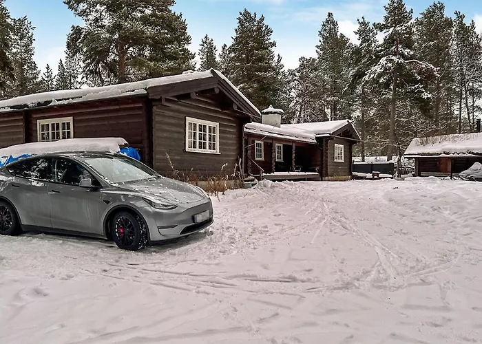 Lovely In With View Vakantiehuis Drevsjø